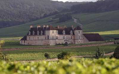 El Viñedo de Côte d’Or en Borgoña